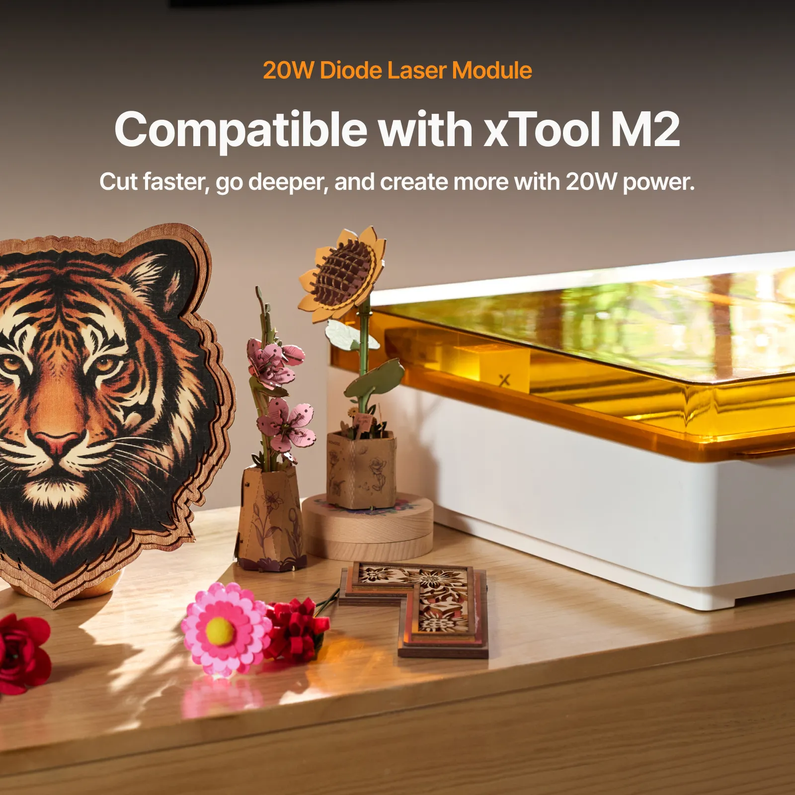 xTool M2 20W 455nm Diode Laser Module - Image 4